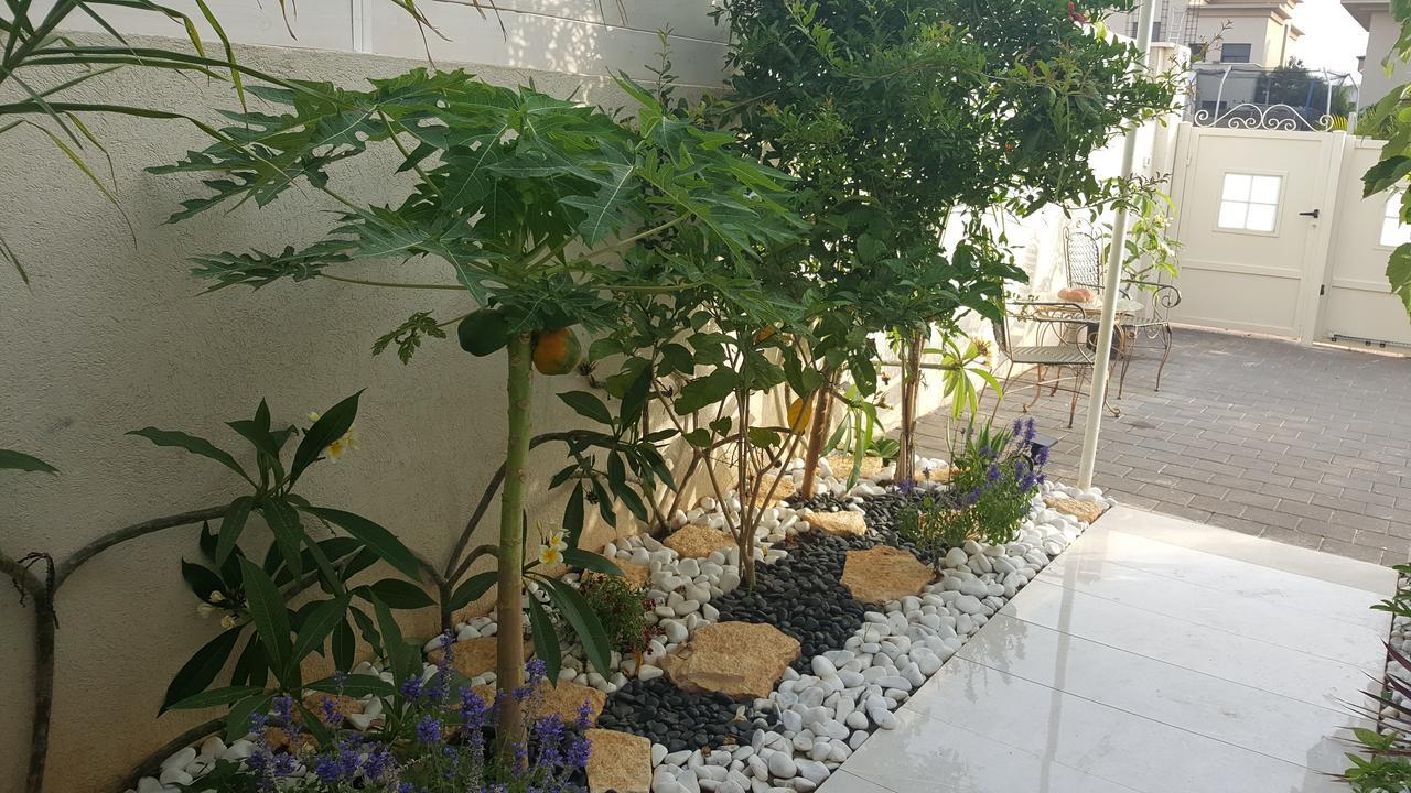 Regina'S Place Or Akiva Kültér fotó